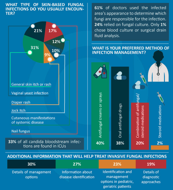 Blog Infographics